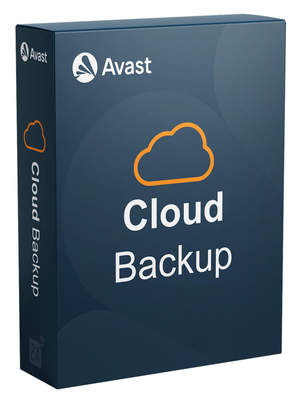 Avast Business Cloud Backup