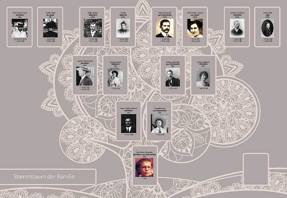 Der Stammbaum 10 Premium