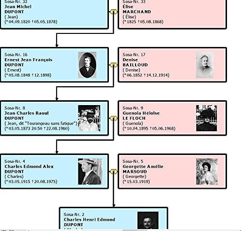 Der Stammbaum 10 Premium