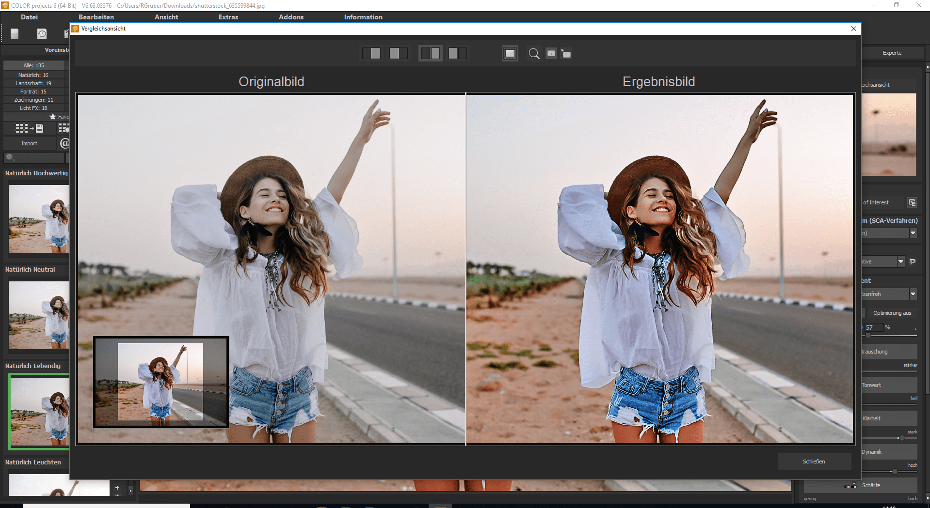 COLOR Projects Professional 6
