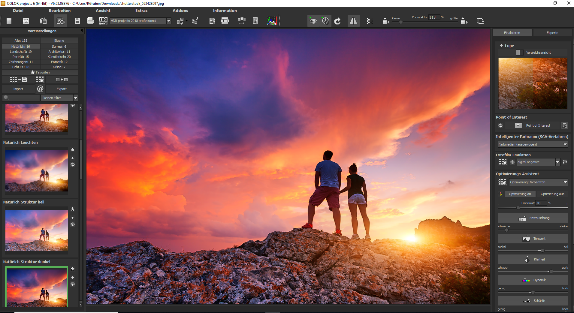 COLOR Projects Professional 6