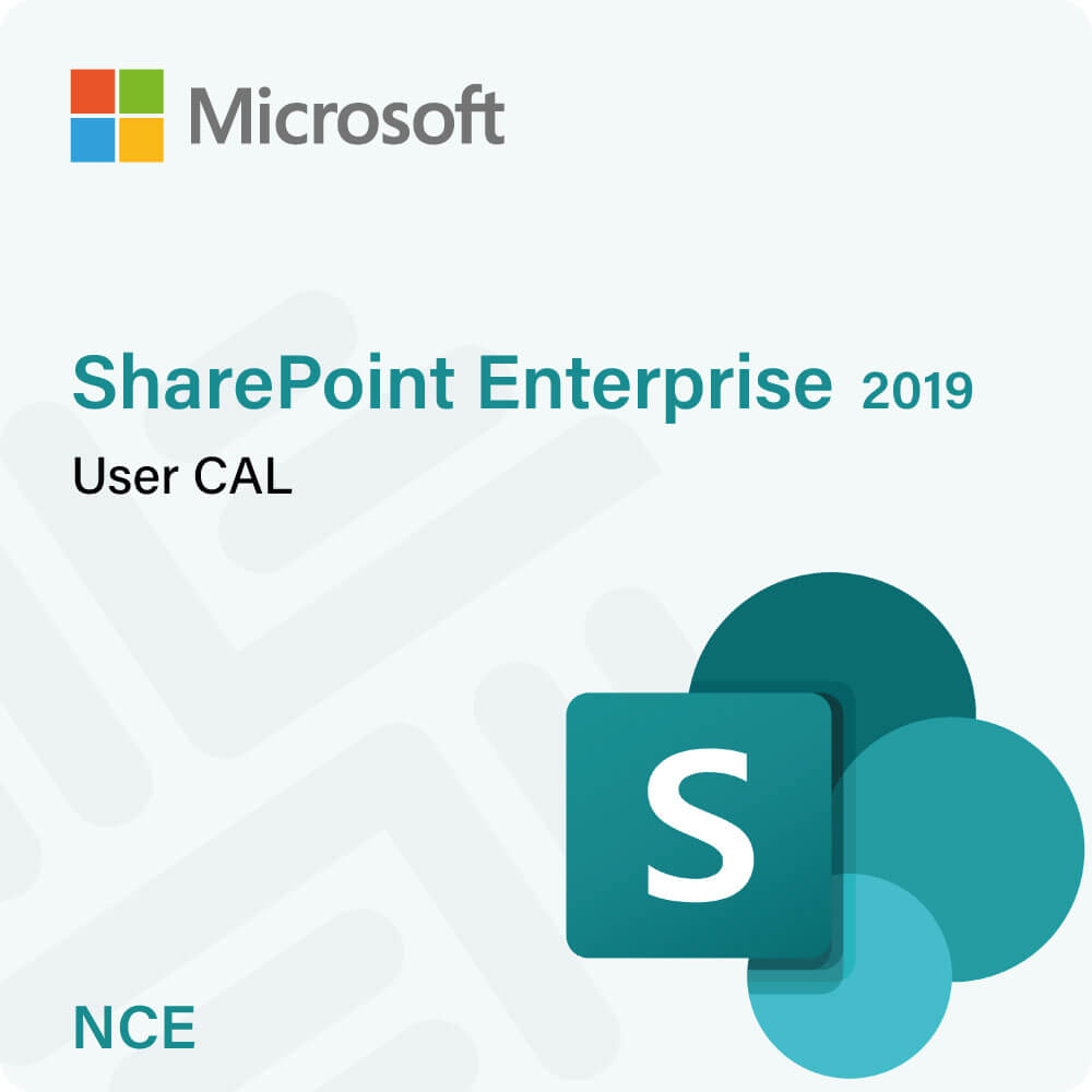 SharePoint Enterprise 2019 User CAL (NCE)
