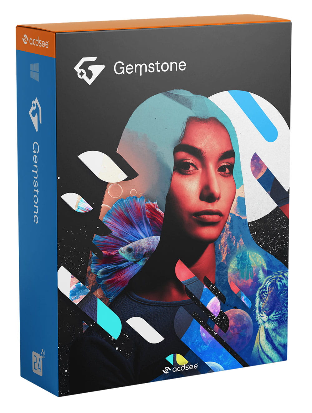 ACDSee Gemstone Photo Editor 12