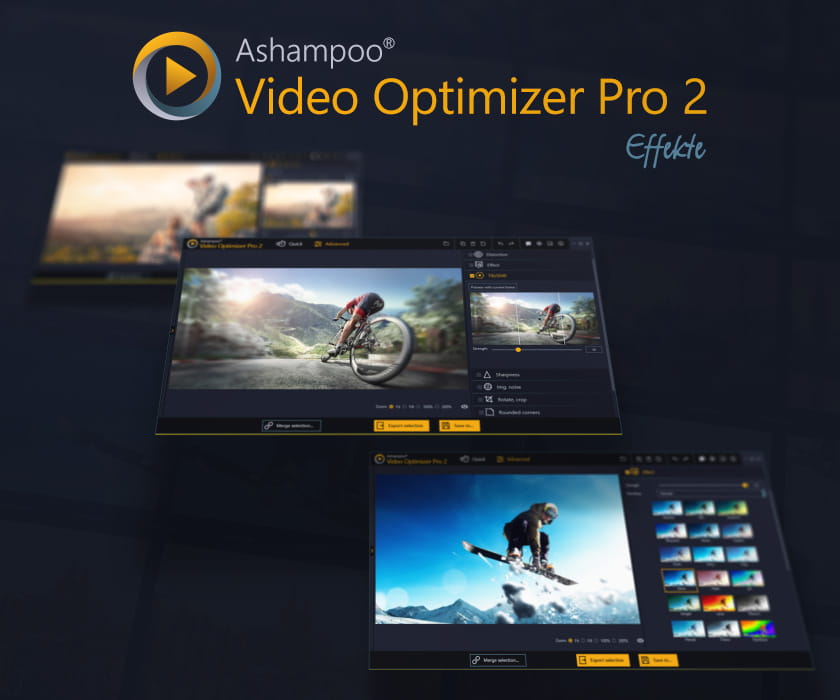 Ashampoo Video Optimizer Pro 2