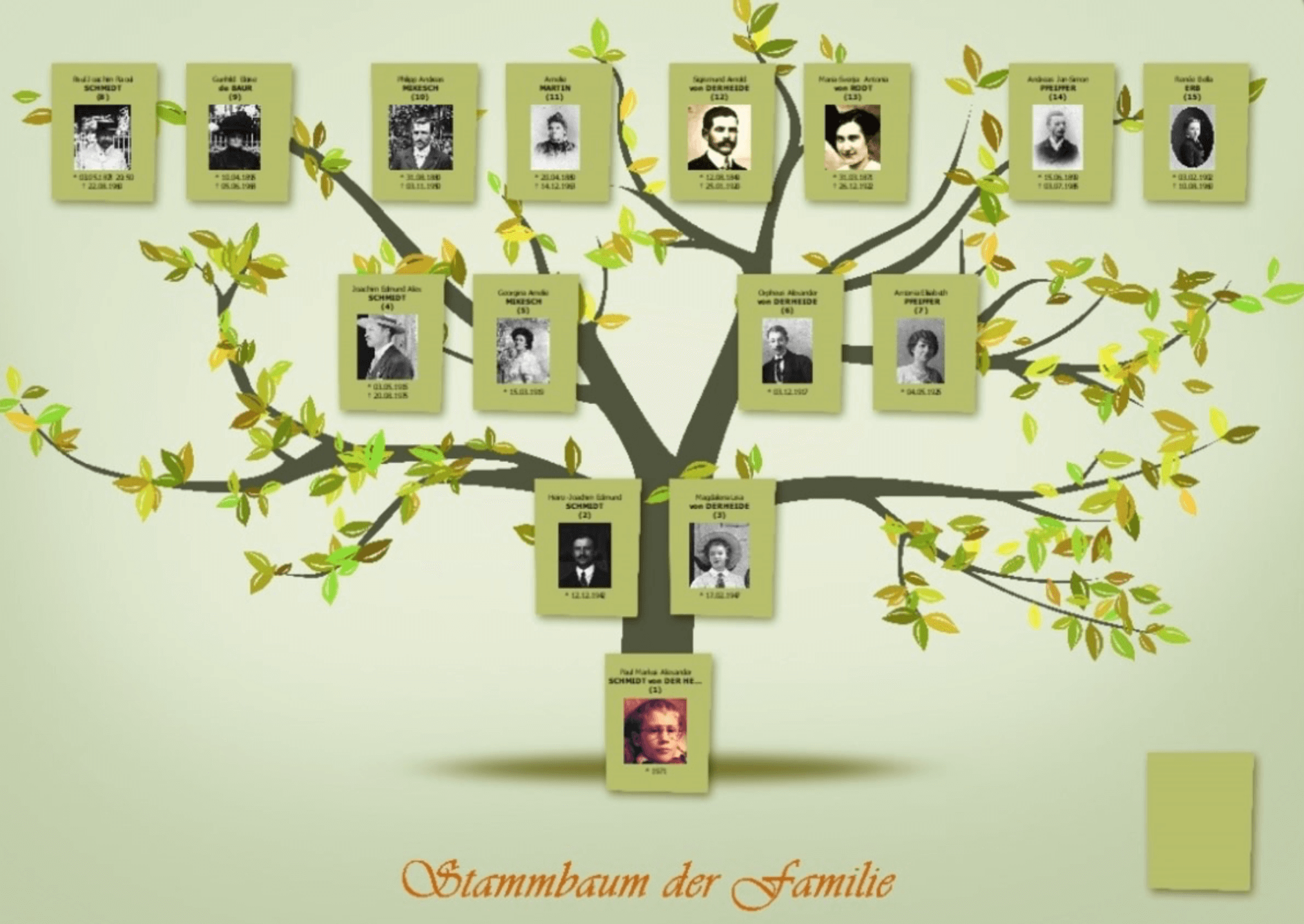 Der Stammbaum 10